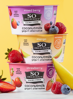 Dairy Free Coconutmilk Yogurt Alternatives with Botanical Extracts
